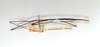 CollectionObject 1557300; 6e555185-0118-4c5d-b564-6945c50e161b: copyright ETHZ, Zurich. male, lateral view (holotype). (CollectionObject).