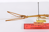 CollectionObject 1561339; 9f541739-ec3a-45ec-911c-0591fdbc6d92: copyright ZMHB, Berlin. male: head & thorax, lateral view (holotype). (CollectionObject).