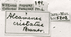 CollectionObject 1526367; efa3261a-67f6-41fe-940f-c7c507473351: labels. (CollectionObject).