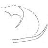 Pygofer, lateral view: Genital capsule, lateral view. (Observation).