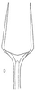 Aedeagus, ventral view: !! display not done !! on Chlorotettix (Chlorotettix) giganteus Linnavuori, 1959: Aedeagus, ventral view. (Observation).