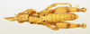 CollectionObject 1518507; e6565f0d-d821-4c65-984e-9151700da597: male, dorsal view (holotype). (CollectionObject).