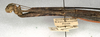 CollectionObject 1557745; NMW 521, 3d611a37-6baf-4116-8a4c-398a8d54b3c9: copyright NMW, Vienna. female: head and thorax, lateral view of Carausius spinosus (holotype). (CollectionObject).