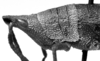 CollectionObject 1532739; 87e61602-cf71-45c8-b5df-25517e3f2fcf: Image Carbonell, C.S. female head and pronotum, lateral view (holotype). (CollectionObject).