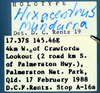 CollectionObject 1504215; 1c501441-1609-402a-9dd7-e1f885412a66: labels (holotype). (CollectionObject).