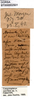 CollectionObject 1502910; 92b7cd0a-3f78-4181-897e-146d2ff94273: labels (paratype). (CollectionObject).