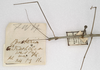 CollectionObject 1559064; 9c130f70-dfb2-439a-b847-574d280b5c2d: copyright OUMNH. female: head and thorax, lateral view (holotype), also data. (CollectionObject).