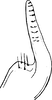 Stylus: Stylus. (Observation).