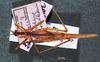 CollectionObject 1503301; MBBJ 3225082, ec449414-c641-4202-b73e-6918bca0af32: female, dorsal view. (CollectionObject).