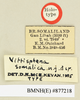 CollectionObject 1518354; bbb3e29f-ed32-42b4-a9ab-84522b1e5c6d: labels (holotype). (CollectionObject).