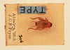 CollectionObject 1542589; 41863c70-f449-438e-a639-fac9c96f14fb, NHMUK015982166: male, dorsal view (holotype). (CollectionObject).