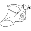 Pygofer, lateral view on Anufrievia forcipiformis Yang & Zhang, 2018: Pygofer, lateral view. (Observation).