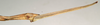 CollectionObject 1559012; NMW 778, 242d9063-55e6-4055-87af-4d4f21709115: copyright NMW, Vienna. female: end of abdomen, lateral view (holotype). (CollectionObject).