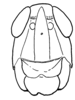 Aleuas lineatus Stål, 1878: Fig. 20B. female head, frontal view. (Otu).