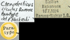 CollectionObject 1520633; b3c3fa0a-a6a4-4ea0-be6b-ad691aa7613c: labels (paratype). (CollectionObject).
