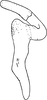 Stylus: !! display not done !! on Megophthalmus scanicus (Fallén, 1806): Stylus. (Observation).