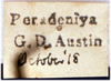 CollectionObject 1520548; 7295936e-9c77-4567-90fa-01f429bf9577: label. (CollectionObject).
