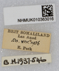 CollectionObject 1582278; eba7f465-9842-4aeb-ae7e-8ce202ae4ce3: labels (female). (CollectionObject).