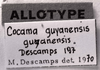 CollectionObject 1566335; dec61701-5d6a-4376-a2c8-12a7a0364af7: Image Carbonell, C.S. labels (allotype). (CollectionObject).