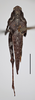 CollectionObject 1536500; f5ca0e16-8d37-4eea-aa41-c7469a72b90e, MZLU178046: female (holotype), dorsal view (scale bar 5mm). (CollectionObject).