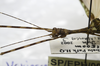 CollectionObject 1576322; SPM SP/EPH/00818&820, 93f4a416-9f6b-4e0c-b84d-39fd9ad8bbc9: copyright SPM, Kinabalu. male: head & thorax, dorsal view (paratype). (CollectionObject).