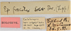 CollectionObject 1613729; 7d3152c4-9373-437c-862f-1df11fbbde74: (CollectionObject).