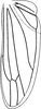 Hind wing: Hind wing (male). (Observation).