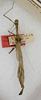 Isagoras subaquilus Rehn, 1947: copyright ANSP. male (holotype). (Otu).