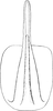 Aedeagus, ventral view on Platymetopius (Platymetopius) enatus Dlabola, 1974: Aedeagus, ventral view. (Observation).