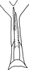 Aedeagus, ventral view on Anufrievia drepanoides Lin & Zhang, 2021: caudal view. (Observation).
