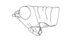Hylopedetes mirandus Rehn, 1929: Fig. 19. male, head and pronotum (lateral view). (Otu).