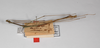 CollectionObject 1558047; 18ad1de7-83f6-4a08-a4b5-7a13d992cd31: copyright ZMHB, Berlin. male, dorsal view (syntype). (CollectionObject).;CollectionObject 1558048; ec519d3d-276b-4cc7-b1c8-1737c64766b4: copyright ZMHB, Berlin. male, dorsal view (syntype). (CollectionObject).