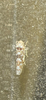 FieldOccurrence 3974; 09f6177d-f9ea-4631-a451-e72ac2f0c422; United States: Ohio: Franklin
E Stanton Ave, Columbus, OH, US, 2025/05/17
Zeke Blankenship: (FieldOccurrence).