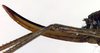 CollectionObject 1502546; 264ebcbf-d4ff-4361-9308-902da85c29bd: ovipositor (syntype). (CollectionObject).