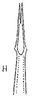 Aedeagus, ventral view: !! display not done !! on Unerus postpositus Linnavuori, 1959: Aedeagus, ventral view. (Observation).