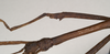 CollectionObject 1559487; NHMUK(SF IMPORT DUPLICATE) 844641, 811fb9f4-dfcf-4168-a10d-a1c7d39c3d64: copyright Natural History Museum, London. male: mid femur(paratype). (CollectionObject).