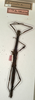 CollectionObject 1557375; 98316f9e-17c7-4057-927c-079d838bda87, NMW 667: copyright NMW, Vienna. female of synonym Dyme ornata (holotype). (CollectionObject).