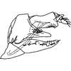 Pygofer, lateral view on Discolopeus diacaenus Stiller, 2019: Pygofer, lateral view. (Observation).
