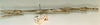 CollectionObject 1557247; cd679769-be0f-441c-9884-0c3d4493b477: copyright NHRS, Stockholm. female, lateral view of Carausius mercurius (holotype). (CollectionObject).