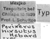 CollectionObject 1501147; 7399fed1-9acd-40c3-9b68-5fa7dff6c661, DORSA BA000582S01: Image Carbonell, C.S. labels (holotype). (CollectionObject).