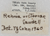 CollectionObject 1564244; 789c4fb8-6e49-4962-8feb-bf3190b5a429: labels. (CollectionObject).