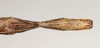 CollectionObject 1559057; 7e532d44-d0aa-4908-a472-c1dda34e1d19: copyright Natural History Museum, London. female: end of abdomen, ventral view. (CollectionObject).