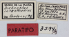CollectionObject 1514663; d9f86507-1e69-4860-a0e9-6898e106a7bf, MLP3594/1: labels (paratype). (CollectionObject).
