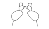 Driphilacris tuberosa Descamps & Amédégnato, 1972: Fig. 128. male head, dorsal view. (Otu).