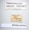 CollectionObject 1573266; 14892d3c-2393-499b-947b-fcacf54a6ddb: Copyright NHM, London. Female: data labels, non-type. (CollectionObject).
