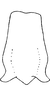 Connective on Empoascanara (Empoascanara) hongkongica Dworakowska, 1971: Connective (E. goplana). (Observation).