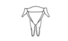 Drymacris nebulicola (Rehn, 1929): Fig. 33. female, end of abdomen, dorsal view. (Otu).