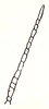 Stenoxyphellus brachypterus Ramme, 1941: Fig. 17. female antenna. (Otu).