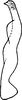 Stylus on Perugina Dietrich & Dmitriev, 2006: Stylus (P. denticula Dietrich & Dmitriev). (Observation).