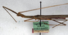 CollectionObject 1560979; NMW 225, c4456121-0477-475e-b2ba-d2612656ced1: copyright NMW, Vienna. male: head and thorax, lateral view (holotype). (CollectionObject).